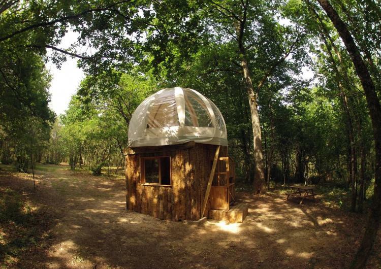 BULLE PERCHEE
