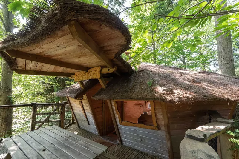 CABANE CERF