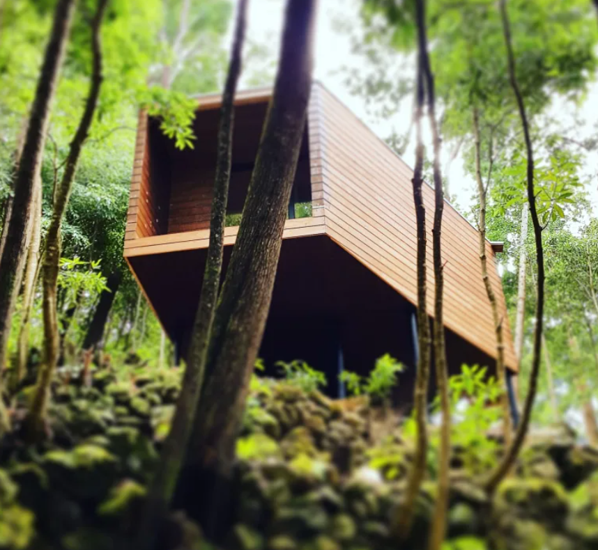 Lodge Vista Floresta