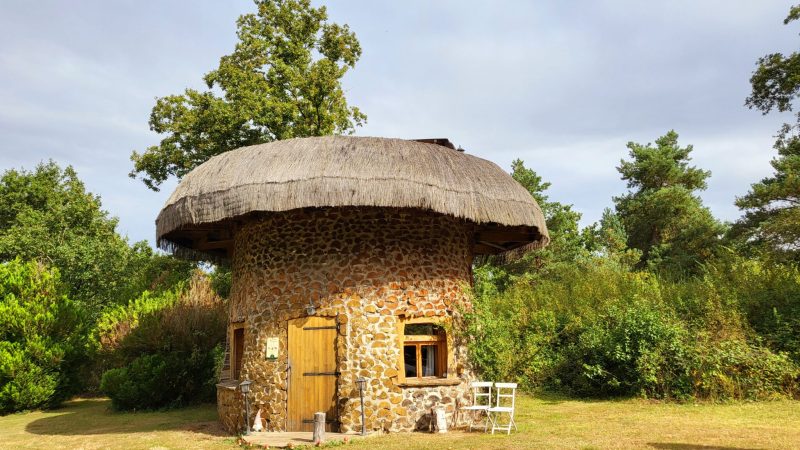 La Cabane Champignon, cabane perch�e