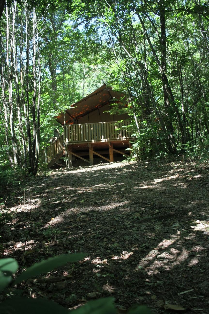 Tente Lodge foresti�re