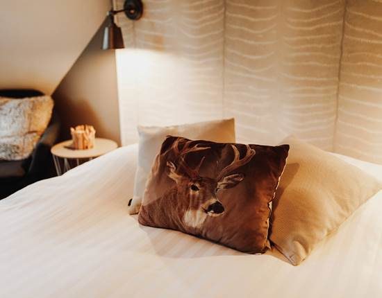 In the Woods � Chalet Scandinave avec sauna infrarouge