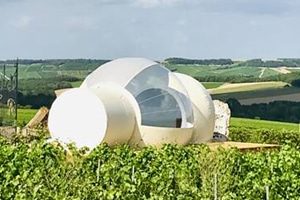 Bullez en Champagne, bulle transparente dans les vignes