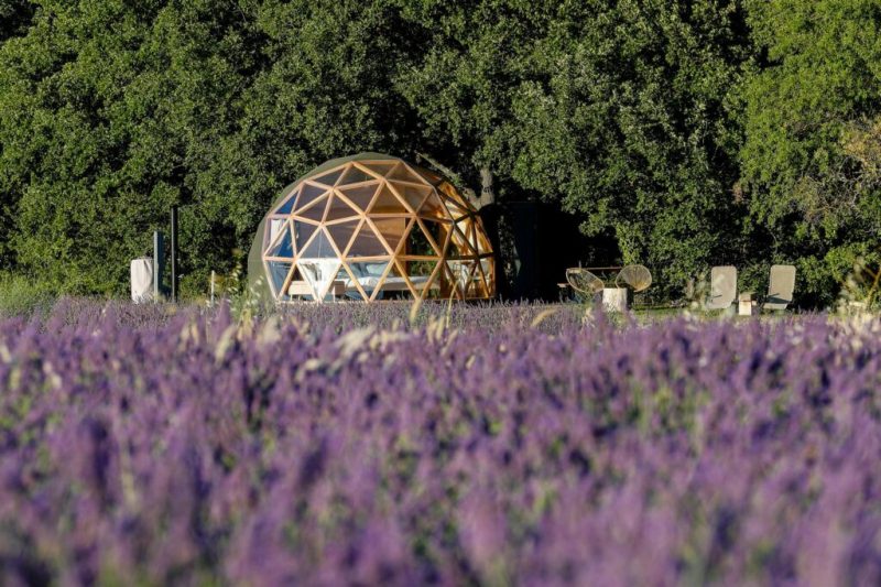La Bulle du Lavandin, bulle sous les �toiles