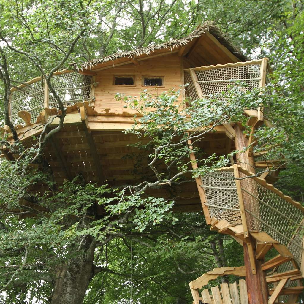 Cabane Migrateur � cabane perch�e dans les arbres