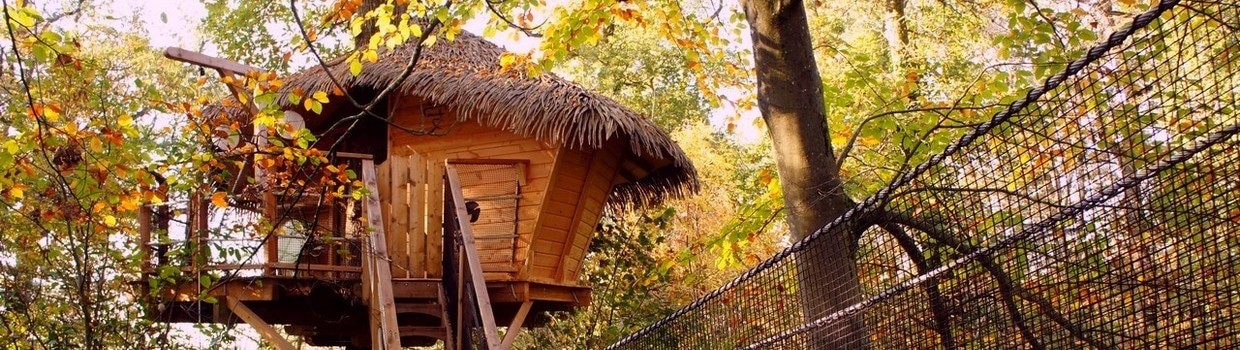Cabane Zen dans les arbres