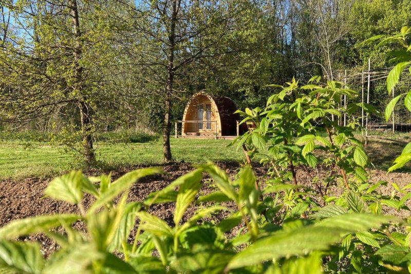Le Poppy Pod, pod insolite en Bourgogne