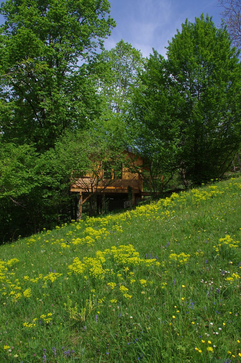 La Cabane aux R�ves, chalet sur pilotis avec spa privatif