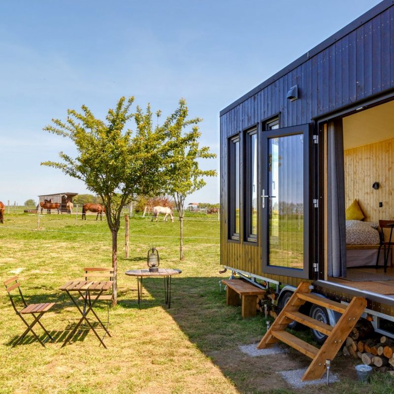 L��curie, Tiny House au milieu des chevaux