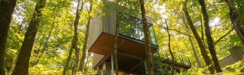 Cabane Pin, cabane perch�e en Corr�ze