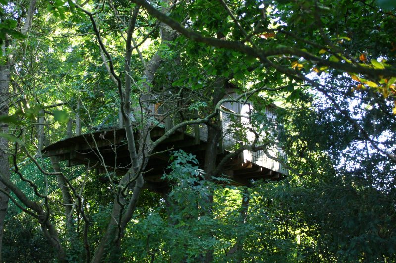 Cabane La Tour dans les arbres