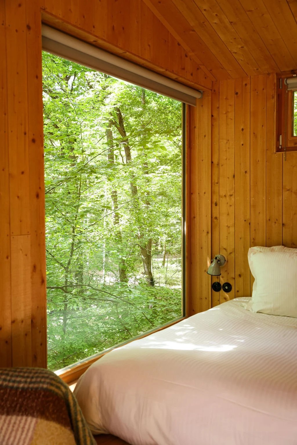 Cabane en couple (ou petite tribu) dans les arbres