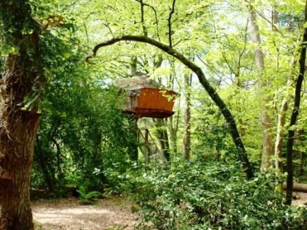 Cabane Jonquille dans les arbres