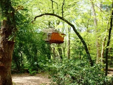 Cabane Jonquille dans les arbres
