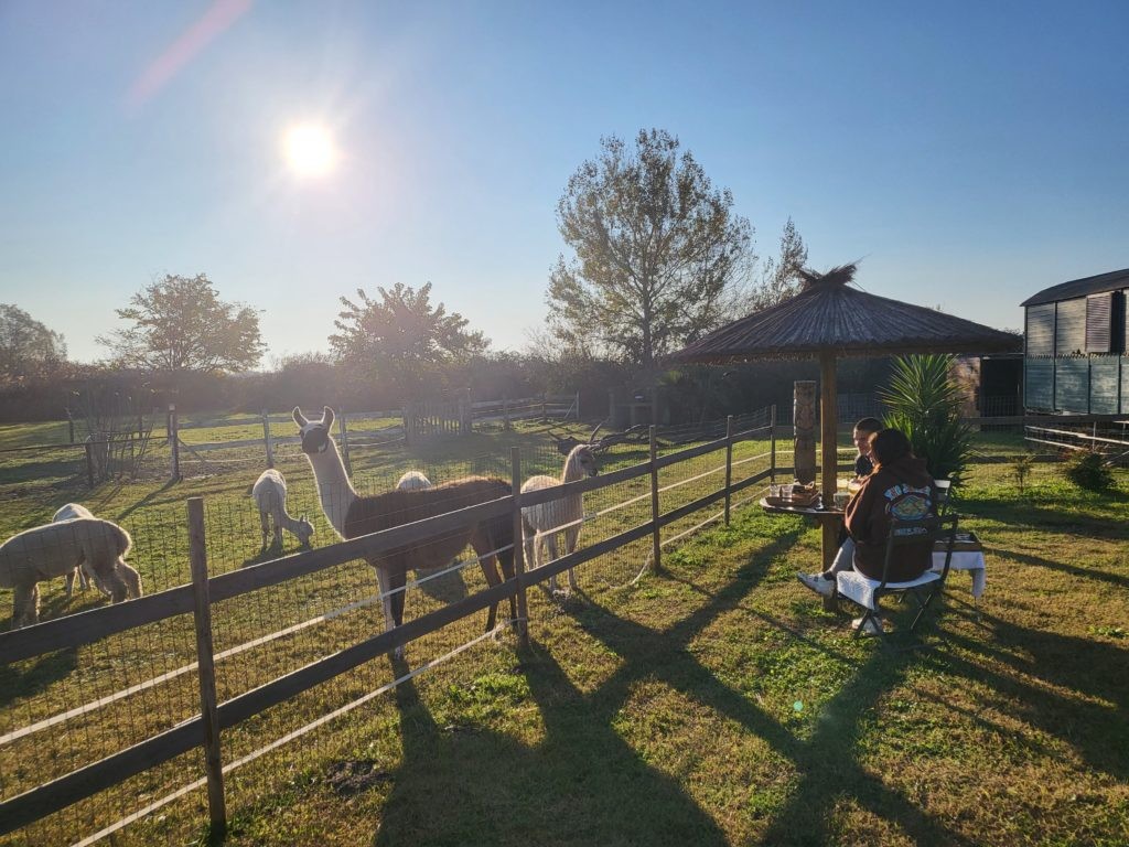 Roulotte Pura Vida � la ferme