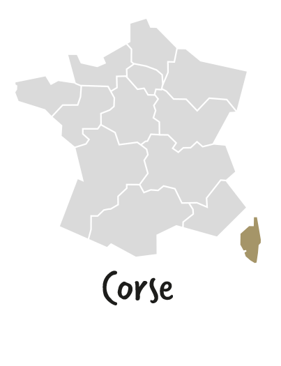 Corse